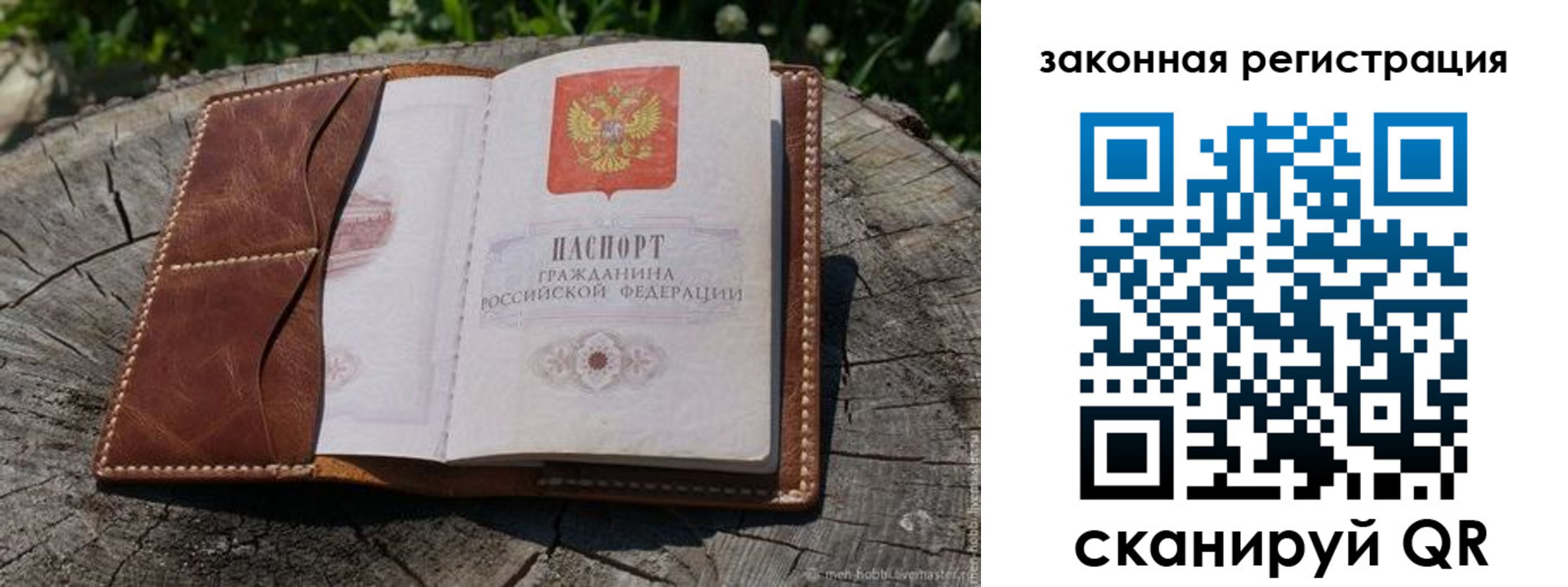 прописка в Кингисеппе