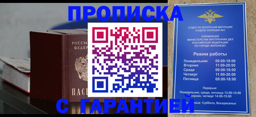найти адрес прописки в Кингисеппе